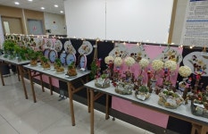 창원 북면 홀로어르신 내생애 첫 원예작품 전시회 개최