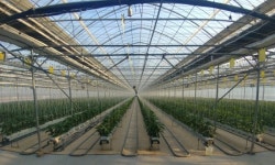 창원시 농업 보조금 불법 활용 특별 단속