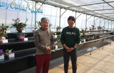 진주시 미천면 부양란농원 난초(蘭草)로 새산업 이끌다