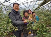 강소농 현장을 찾다(14)-덕실대봉농원/시골아재 주이돈 대표
