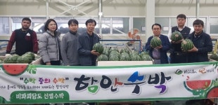 함안군조합공동사업법인 함안수박 본격출하