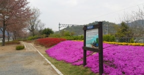 밀양 삼랑진역 급수탑 가족단위 탐방장소로 급부상