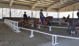 함안군 승마공원 제8기 승마아카데미 회원 모집