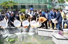 양산시청 정원 연못쉼터 담소(談沼) 입어식