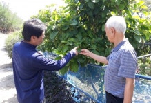 강소농 현장을 찾다(16)-남해군 보물섬 황칠농장 김용준·이나미 대표
