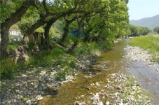 창원 진전천 거락숲 일원 하천재해예방사업 시행