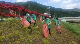 클린 밀양·깨끗한 상동면 환경정화활동