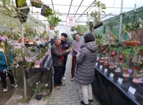 진주 부양란농원과 함께 행복한 반려식물 키우기