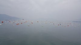 경남도-국립수산과학원 남동해수산연구소-남해군, 협약 체결