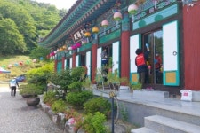 진주 이현동 부처님 오신 날 맞이 일제 방역