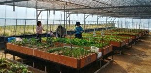 양산 공영 도시농업 농장에서 힐링