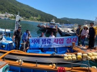 거제시 외줄낚시 자율관리공동체 참돔 방류