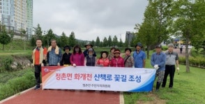 진주 정촌면 화개천 코스모스길 조성