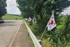 창녕 대합면 태극기 거리 장관 연출