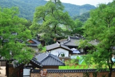 산청 남사예담촌 골목길을 거닐다