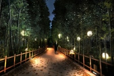 진주 죽림숲 추석연휴 기간 시범 점등