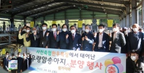 사천축협 우량암송아지 원가이하 분양