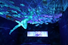 브릭 아트 전시, 브릭캠퍼스 창원 특별전 개최