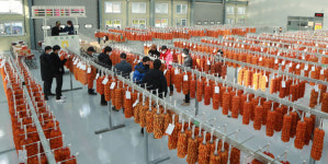 지리산 품은 함양곶감 본격 출하