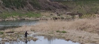 카메라고발-고기 씨 말리는 불법 투망