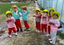 지리산 화개골 고사리들 딸기따기 체험학습