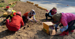 산청 신안면 도로변 유휴지 꽃동산 조성