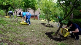 양산 대운산휴양림, 더 초록한 여름을 기대하세요
