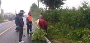 밀양 산내면 이장협의회·청년회 풀베기 작업 실시