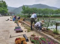 진주 명석면 홍지마을 사계절 예쁜꽃 활짝