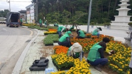 새마을운동합천군지회, 분위기 전환 여름꽃 식재