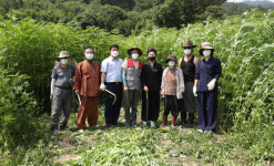 함양 삼베짜기 전통 명맥 잇는다