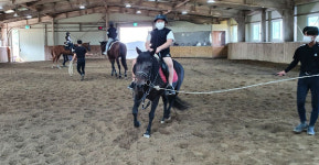 산청군 말산업 저변확대 승마체험 지원사업 추진