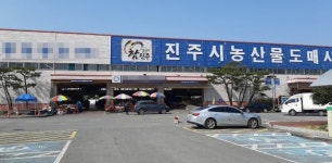 진주농산물도매시장 J청과 외상거래로 피멍든 중도매인