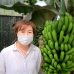 통영동백커피식물원 이지윤 대표