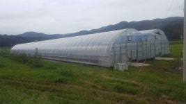 하동 청년 농업인 경영실습 임대농장 본격 운영