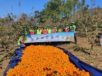 새마을교통봉사대 경남지역대 가을철 농촌일손돕기