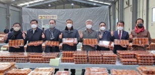대한민국 대표과일 지리산 산청곶감 본격 출하
