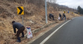밀양 국전리 국동·국서마을 금낭화 꽃길 조성