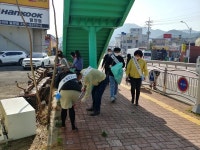 밀양교육지원청 새봄맞이 청렴 국토대청결운동 동참
