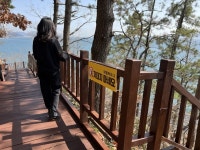창원시, 행락철 대비 진해구 합계마을 데크로드 점검