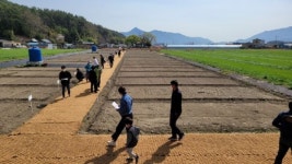고성군 귀농 귀촌 주말농장 개장