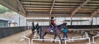 함안 승마공원 학생승마체험 인기