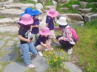 전북 남원 아영초 병설유치원 함양 대봉힐링관 방문