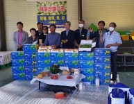 사천 곤명농협 사천 매실 초매식