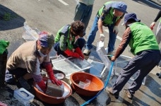 남해 창선면 지사협 주거환경 봉사 구슬땀