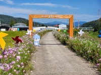 진주 진성면 꽃길 하모 포토존·바람개비 설치