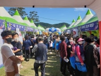 밀양아리랑대축제 건강한마당 행사 큰 호응