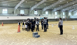 함안군승마공원, 한국마사회 기승능력인증제 시행