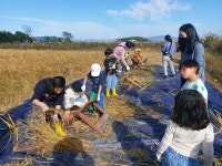창원시 1일 농부 체험 행사 운영