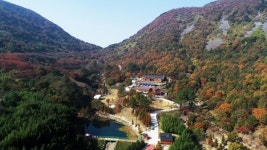경남 자연휴양림에서 힐링을, 정원에서 가을 정취를